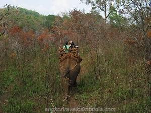 Ride elephant in Mondulkiri